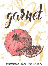 Vector illustration, hand drawn garnet with inscription on watercolor sprays