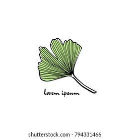 Vector illustration of hand drawn Ginkgo biloba leaf. Ink drawing, graphic style, logo template