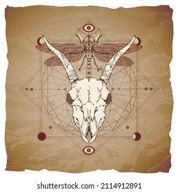 Vector illustration with hand drawn goat skull, dragonfly and Sacred geometric symbol on vintage paper background with torn edges. Abstract mystic sign. Image in sepia and red color.