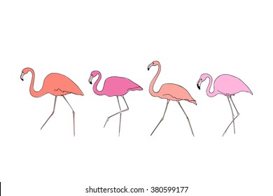 Vector illustration of hand drawn graceful flamingos. Beautiful ink drawing.