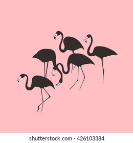 Vector illustration of hand drawn graceful flamingos made in silhouettes. 