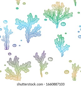 Vector illustration with hand drawn gradient algae and bubbles on white background. Marine seamless pattern with seaweeds and bubbles