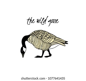 Vector illustration of hand drawn grazing wild goose. Beautiful animal design elements, ink drawing.