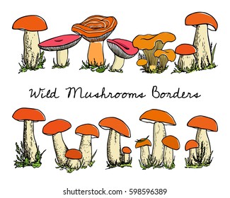 Vector illustration of hand drawn group of wild mushrooms. Ink drawing, graphic style. Beautiful food design elements.