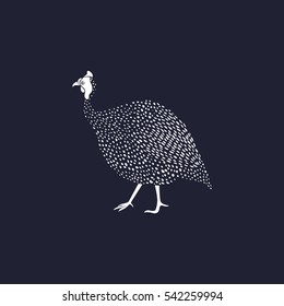 Vector illustration of hand drawn guinea fowl. Beautiful ink drawing, cute animal character