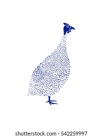 Vector illustration of hand drawn guinea fowl. Beautiful ink drawing, cute animal character