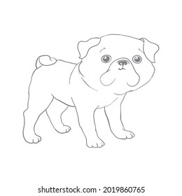 Vector illustration of a hand drawn happy fashionable pug. T shirt print design.