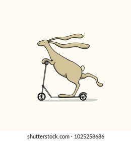 Vector illustration of hand drawn hare riding a scooter. Ink drawing, graphic style.