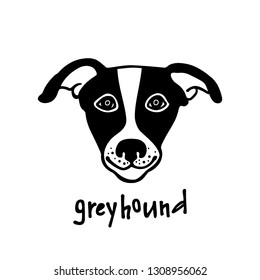 Vector illustration of hand drawn head of greyhound. Beautiful design elements, ink drawing, heavy contours, logo template