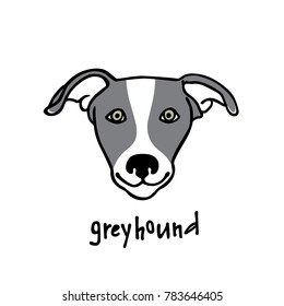 Vector illustration of hand drawn head of greyhound. Beautiful design elements, ink drawing, heavy contours, logo template