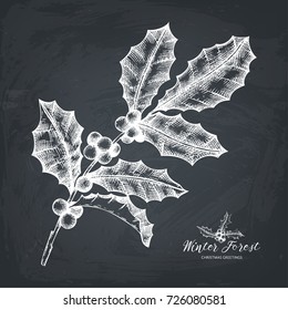 Vector illustration of hand drawn holly berries. Christmas decor elements. Vintage winter plants sketch. New year greeting card or invitation design. Chalkboard