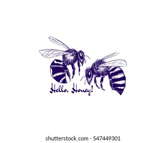 Vector illustration of hand drawn honey bee couple made in retro style. Beautiful ink drawing, perfect for Valentine's day celebration