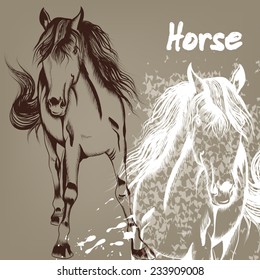 Vector illustration with hand drawn horse