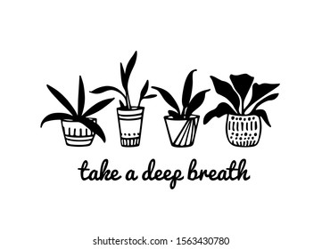 Vector illustration of hand drawn house plants in painted pots. Ink drawing, graphic style. Beautiful design elements.