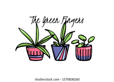 Vector illustration of hand drawn house plants in painted pots. Ink drawing, graphic style. Beautiful design elements.