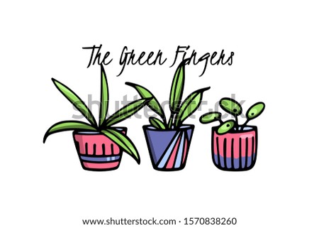 Vector illustration of hand drawn house plants in painted pots. Ink drawing, graphic style. Beautiful design elements.