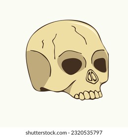 Vector illustration of a hand drawn human skull on a white background.