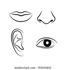 Vector Illustration Hand Drawn Human Senses Stock Vector (Royalty Free ...