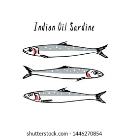 Vector illustration of hand drawn Indian Oil Sardines. Ink drawing, graphic style. Beautiful food design elements