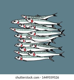 Vector illustration of hand drawn Indian Oil Sardines. Ink drawing, graphic style. Beautiful food design elements