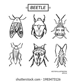 Vector illustration of hand drawn insects. Line beetles on white background. Set with 6 beetles.