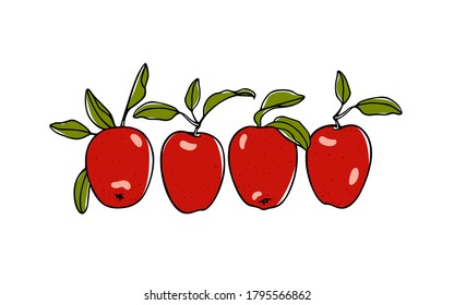 Vector illustration of hand drawn juicy red apples. Beautiful food and healthy eating design elements, perfect for food related industry