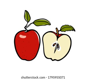 Vector illustration of hand drawn juicy red apples. Beautiful food and healthy eating design elements, perfect for food related industry