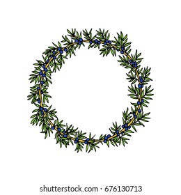 Vector illustration of hand drawn juniper wreath. Beautiful floral design elements.