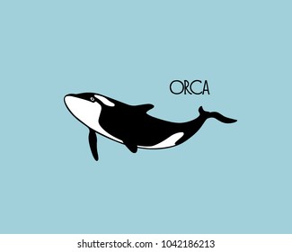 Vector illustration of hand drawn killer whale. Beautiful ink drawing, heavy contour. Perfect design elements, marine animal illustration