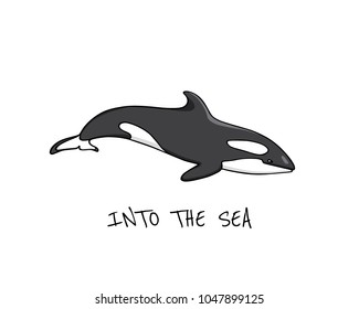 Vector illustration of hand drawn killer whale. Beautiful ink drawing, heavy contour. Perfect design elements, marine animal illustration