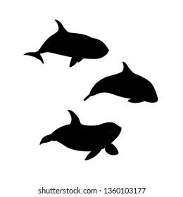 Vector illustration of hand drawn killer whale set silhouette. Marine animal orca family silhouette