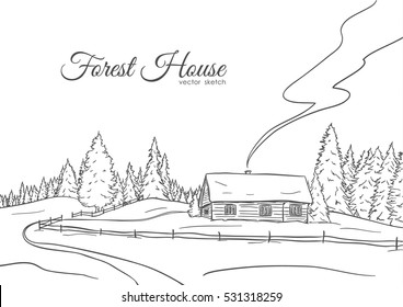 Vector illustration: Hand drawn landscape with road to house and pine forest. Sketch line design.