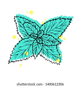 Vector illustration. Hand drawn leaves mint. Black line with green and yellow on white background.