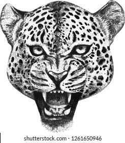Vector illustration hand drawn of leopard head pointilis doodle mascot