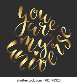 Vector illustration of hand drawn lettering quote You are my universe