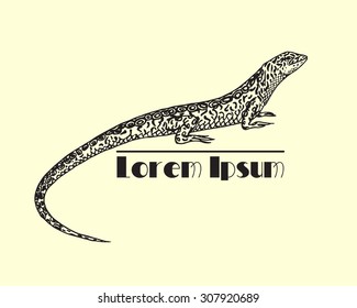 Vector illustration of hand drawn lizard, side view. Beautiful animalistic logo design element. 