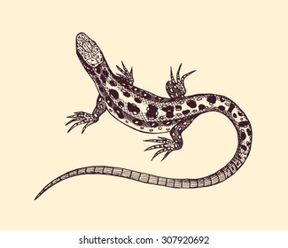 Vector illustration of hand drawn lizard waving its body. Beautiful animalistic design element.