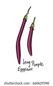 Vector illustration of hand drawn Long Purple eggplants. Cool vegetable print, beautiful design elements
