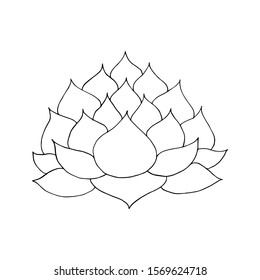 Vector illustration of hand drawn lotus flower outline
