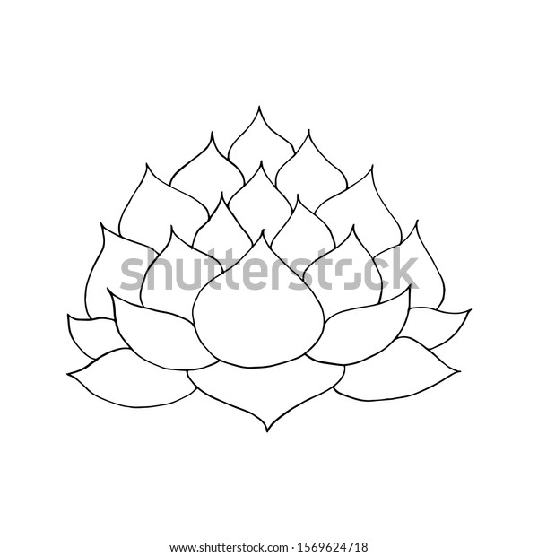 Vector Illustration Hand Drawn Lotus Flower Stock Vector Royalty Free 1569624718 Shutterstock 1077