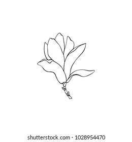Vector illustration of hand drawn magnolia flower. Beautiful floral design elements, ink drawing, logo template
