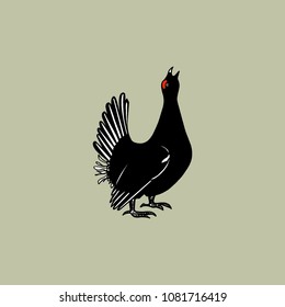 Vector illustration of hand drawn male black grouse. Beautiful animal design elements, ink drawing.