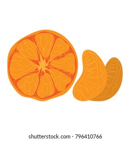 Vector illustration. Hand drawn Mandarins, clementines, citrus. Mandarine elements. 