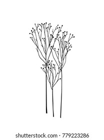 Vector illustration of hand drawn meadow grass. Ink drawing, graphic style.