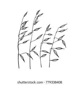 Vector illustration of hand drawn meadow grass. Ink drawing, graphic style.