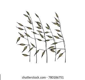 Vector illustration of hand drawn meadow grass. Ink drawing, graphic style.