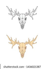 Vector illustration with hand drawn moose skull. Two variants: monochrome and colored. In realistic style. Isolated on withe background. For you design, tattoo or magic craft.