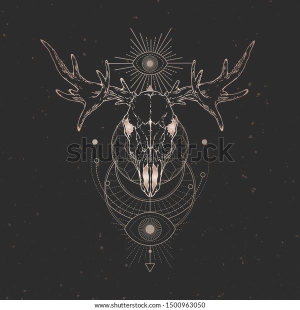 Vector Illustration Hand Drawn Moose Skull Stock Vector (Royalty Free ...