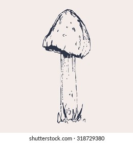 Vector Illustration of a Hand Drawn Mushroom