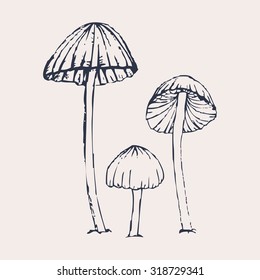 Vector Illustration of Hand Drawn Mushrooms